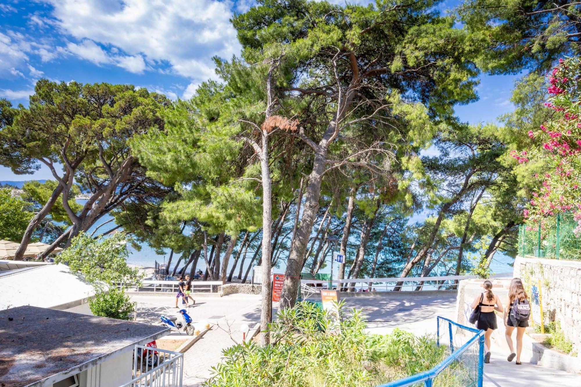 Beachfront Wave Srzic Makarska